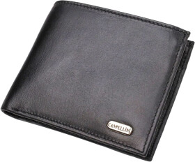 Портмоне-органайзер Canpellini 21779 без логотипа авто черный