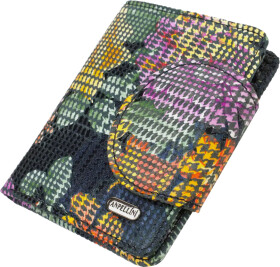 Портмоне-органайзер Canpellini 21804 без логотипа авто разноцветный