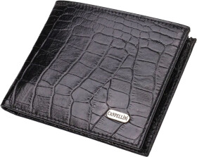 Портмоне-органайзер Canpellini 21867 без логотипа авто черный