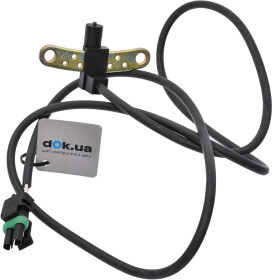 Головне фото