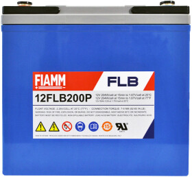 Аккумулятор для ИБП Fiamm FLB 938075 55 Ач 12 V