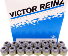 Комплект сальников клапанов Reinz 12-52829-01