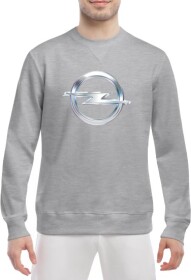 Свитшот мужской Globuspioner Opel Big Logo Silver спереди класический рукав серый