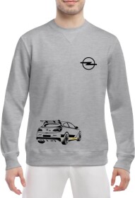 Світшот чоловічий Globuspioner Opel 100 принт спереду класичний рукав сірий