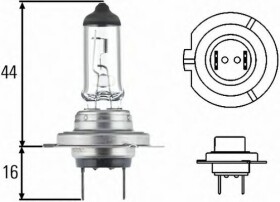 Автолампа Behr Hella H7 PX26d 55 W прозора 8GH007157481