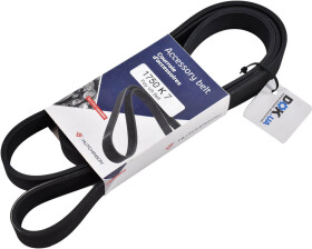 Головне фото