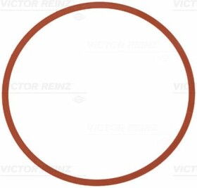 Прокладка впускного коллектора Reinz 711140300