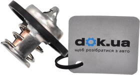 Термостат Rider RD1517489892
