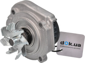 Головне фото