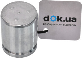 Поршень тормозного суппорта Autofren Seinsa D025436