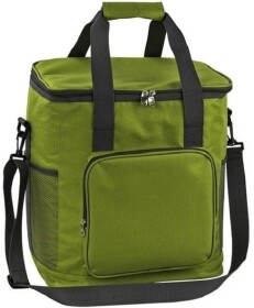 Термосумка Time Eco TE-311S 6215028111568GREEN 11 л