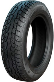 Шина Ecovision W686 245/45 R19 102H XL (под шип)