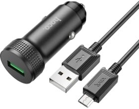 USB зарядка в авто Hoco Z49A Level 6931474795700
